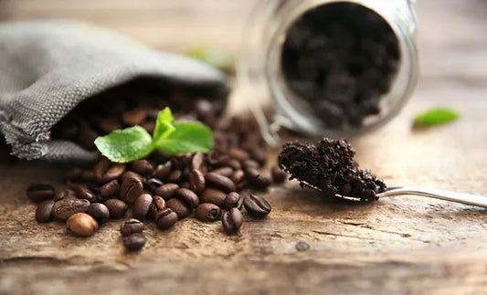Adapting to Rising Coffee Prices: A Resilient Approach