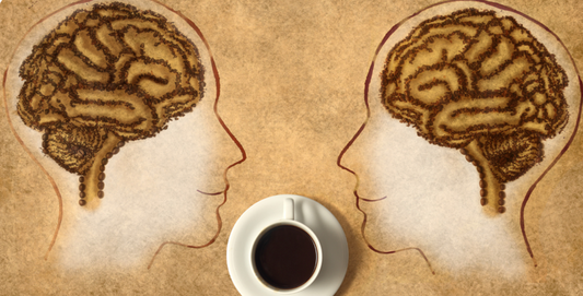 Coffee Brain Health: The Cognitive Benefits of a Daily Cup