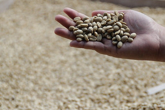 Why Artisan Coffee Trumps Mass Produced Counterparts